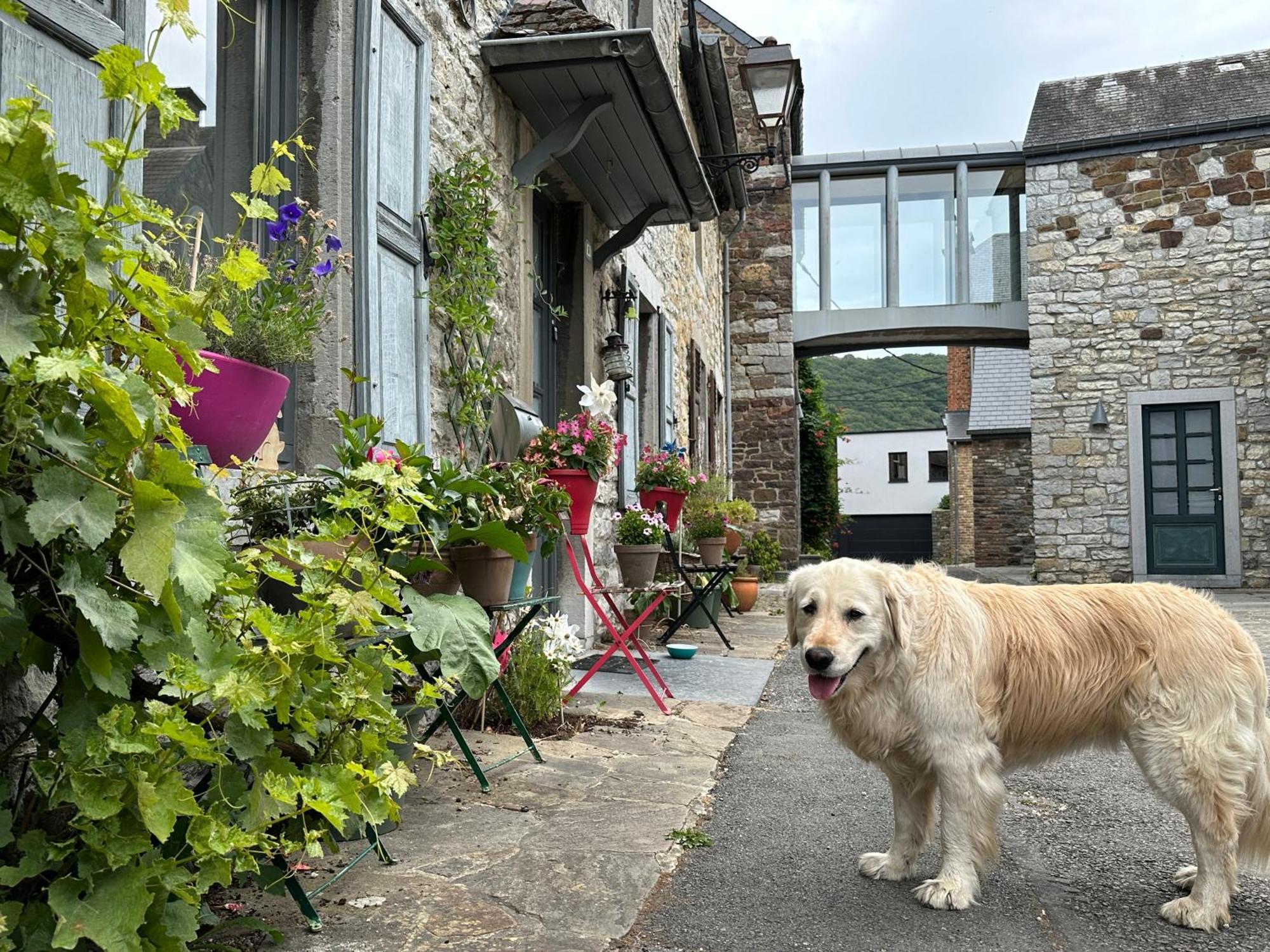 Plaisances, Les Plaisirs Du Bord De Meuse - Chambre D'Hotes Avec Baignoire Spa Profondeville Exterior photo