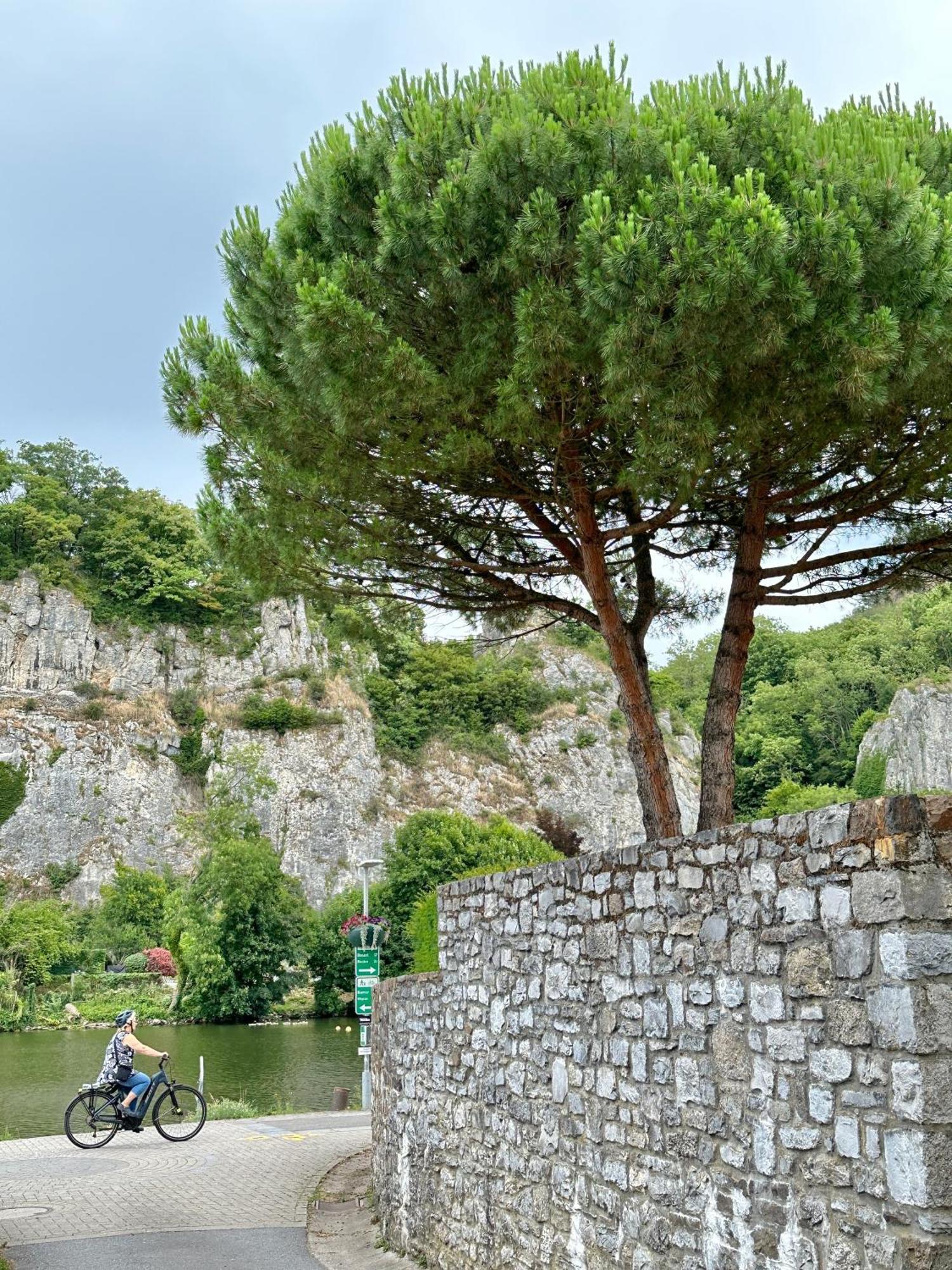 Plaisances, Les Plaisirs Du Bord De Meuse - Chambre D'Hotes Avec Baignoire Spa Profondeville Exterior photo